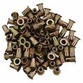 Protectionpro 0.25 in. -20 Zinc-Plated Steel Rivet Nuts, 100PK PR2442135